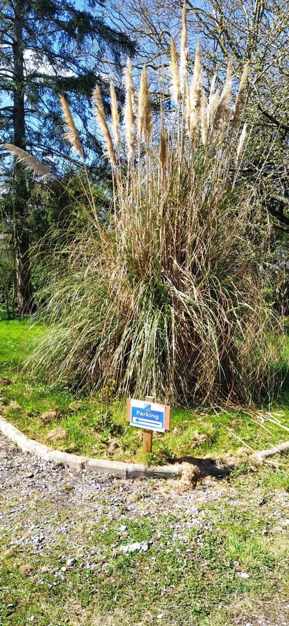 L'Ecureuil Gourmand, Chambre D'Hotes En Anjou Bleu Saint-Martin-du-Bois  Exteriör bild